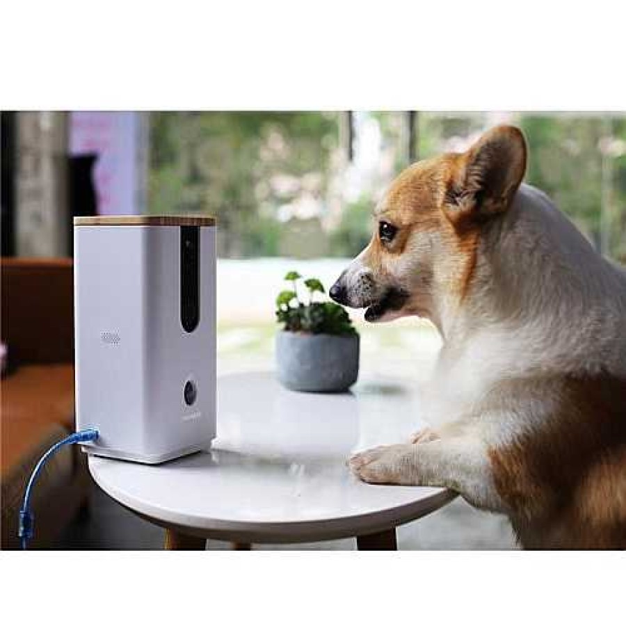 Dogness Dogness Smart Cam Treater | Pet Products