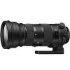 Sigma Sigma 150-600Mm F5-6.3 Sports Os Hsm Eos Mount Lens | Sigma Lenses