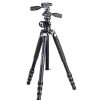 Vanguard Vanguard Veo 3T 234Ap Travel Tripod + Ph-38 Pan Head Kit | Tripods