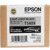 Epson Epson T5809 Light Light Black 80Ml Ink For 3880 | Epson Ink