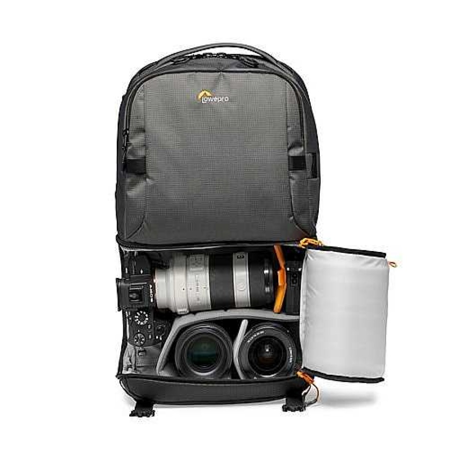 Lowepro Lowepro Fastpack 250 Aw Iii Backpack - Grey | Backpacks