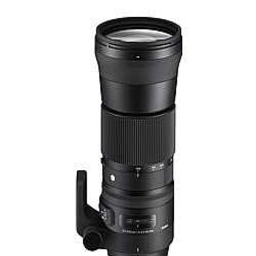 Sigma Sigma 150-600Mm F5-6.3 Dg Os Contemporary Eos Mount Lens Canon | Sigma Lenses