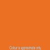 Superior Superior Orange 2.72M Background Paper | Backdrops